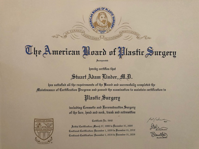 The American Board of Plastic Surgery